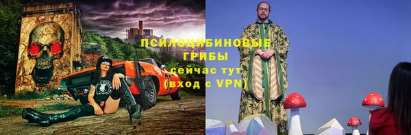 гидропоника Белокуриха